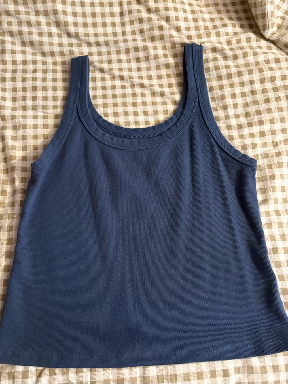 American Eagle Outfitters Blue Scoop Neck Tank